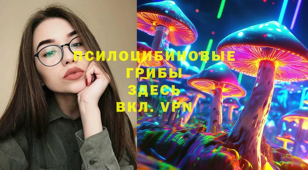 гашик Алексеевка
