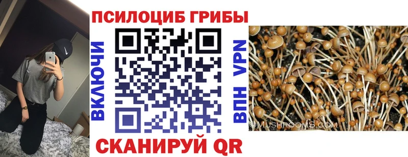 Галлюциногенные грибы Cubensis  Кемерово 